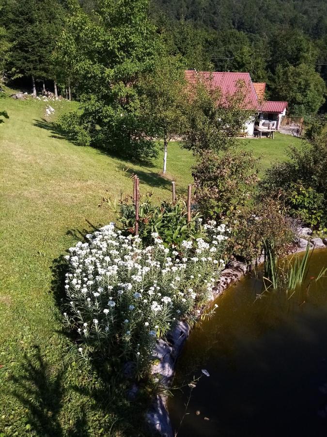 Apartmani Gruzdovo Delnice Exterior foto